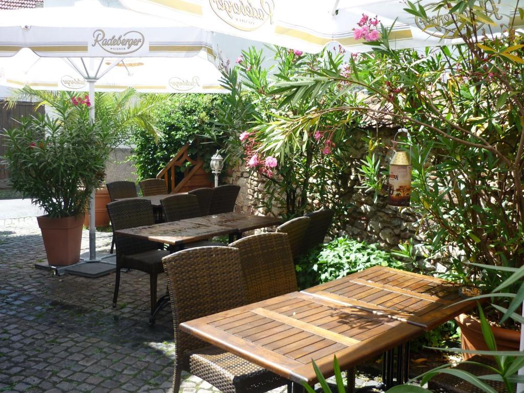 Landhaus Rebstock 沃尔姆斯 外观 照片