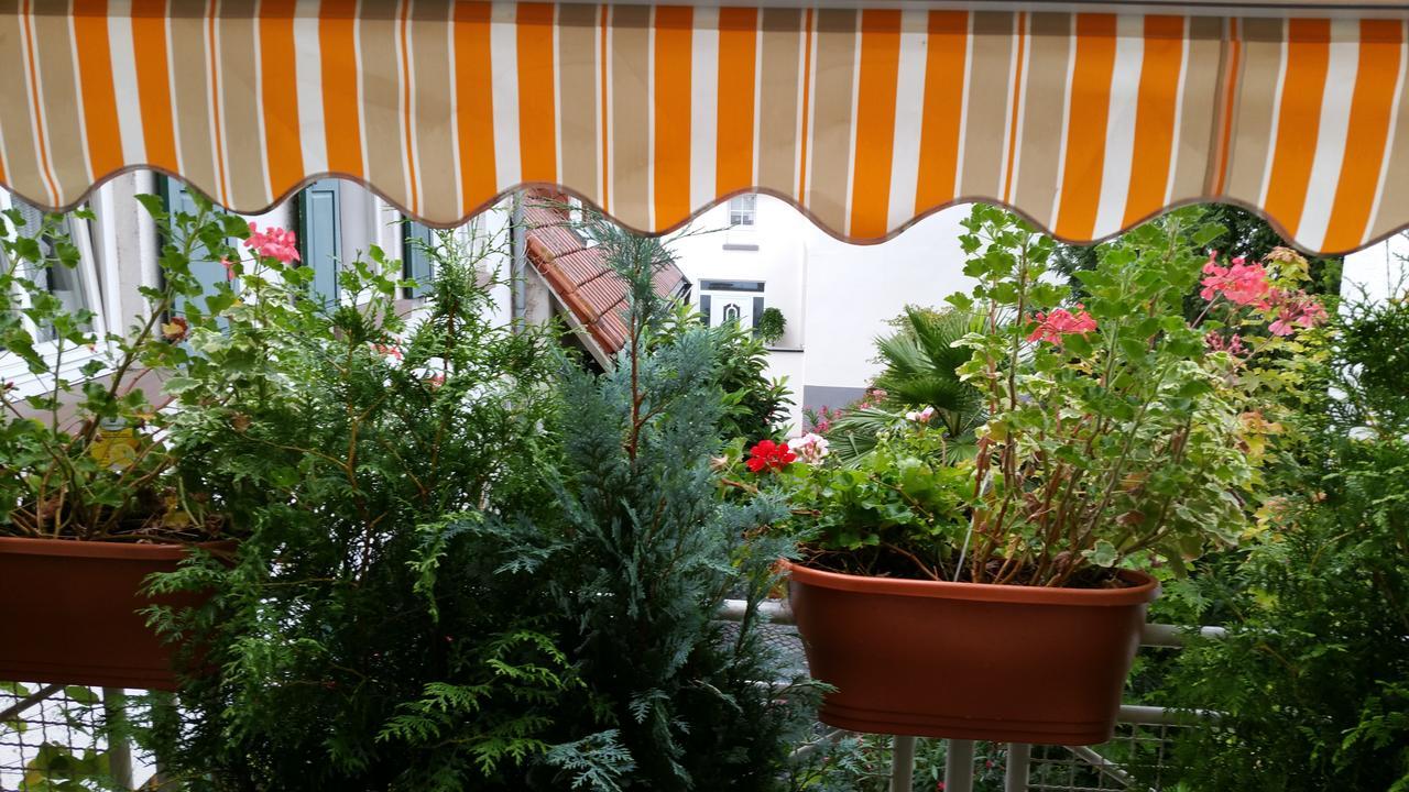 Landhaus Rebstock 沃尔姆斯 外观 照片